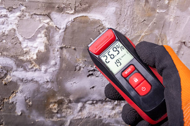 Best Local Mold Removal Service  in Quincy, IL